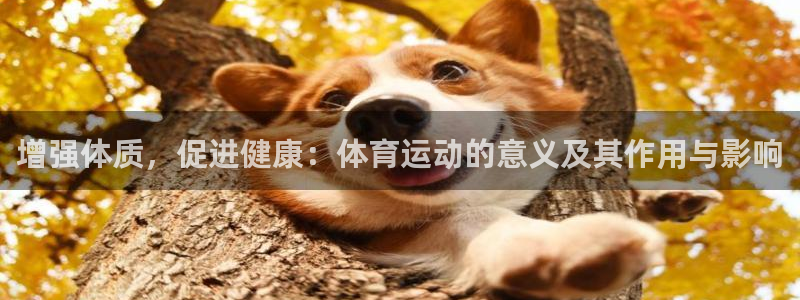 劲爆体育电视节目预告表今天：增强体质，促进健康：体育运动的意义及其作用与影响