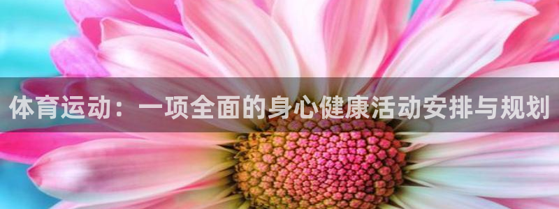 劲爆体育nba今天的比赛视频：体育运动：一项全面的身心健康活动安排与规划